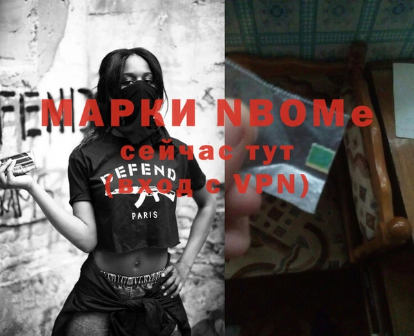 прущие грибы Абинск