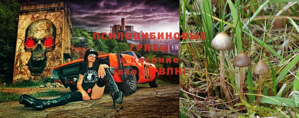 мет Абдулино